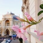 Фестивалі та музичні події в Одесі: чим зайнятися на вихідних