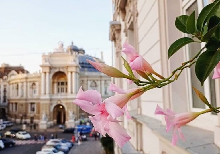 Фестивалі та музичні події в Одесі: чим зайнятися на вихідних