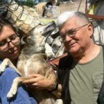У Одесі знайшли собаку, яка зникла після удару дрону