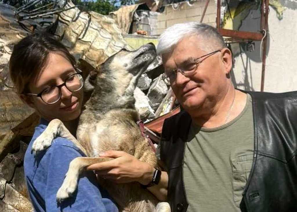 У Одесі знайшли собаку, яка зникла після удару дрону