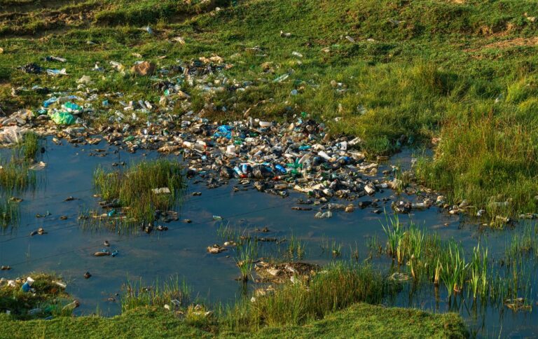 Забруднення води і водойм в Україні під час війни – де якість найгірша, причини