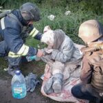 Війна, день 1170: почалося 3-денне перемир’я – росіяни вдарили КАБами