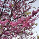Погода в Одесі 4 травня: хмарно, але без дощів