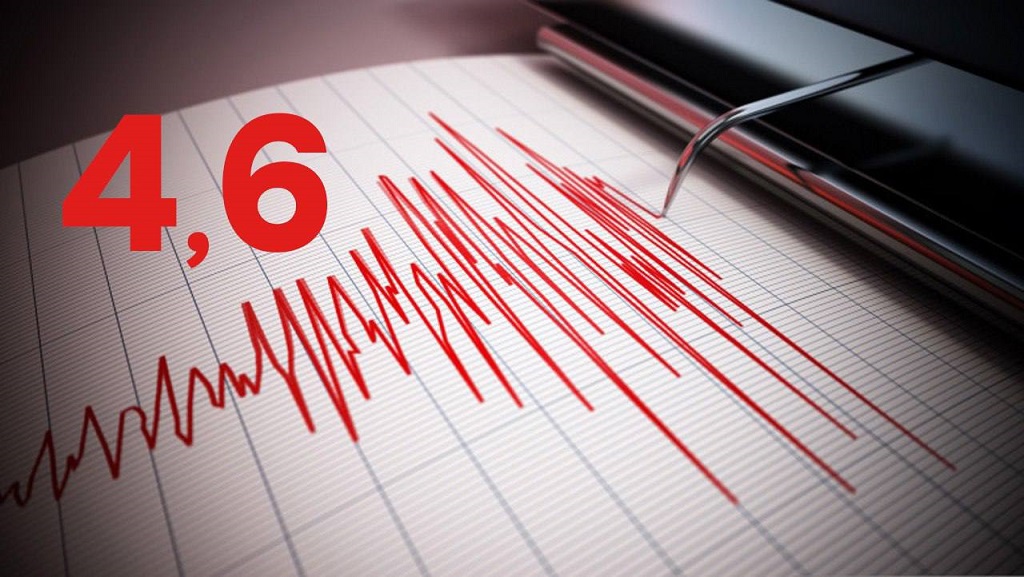 Магнітуда 4,6: жителі півдня Одещини відчули наслідки землетрусу в Румунії
