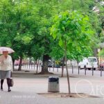 Коли грім – це просто грім: одеський дощ із настроєм