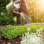 Практичні поради з догляду за садом від Organic Planet