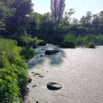 Парк Савицького в Одесі залишається занедбаним