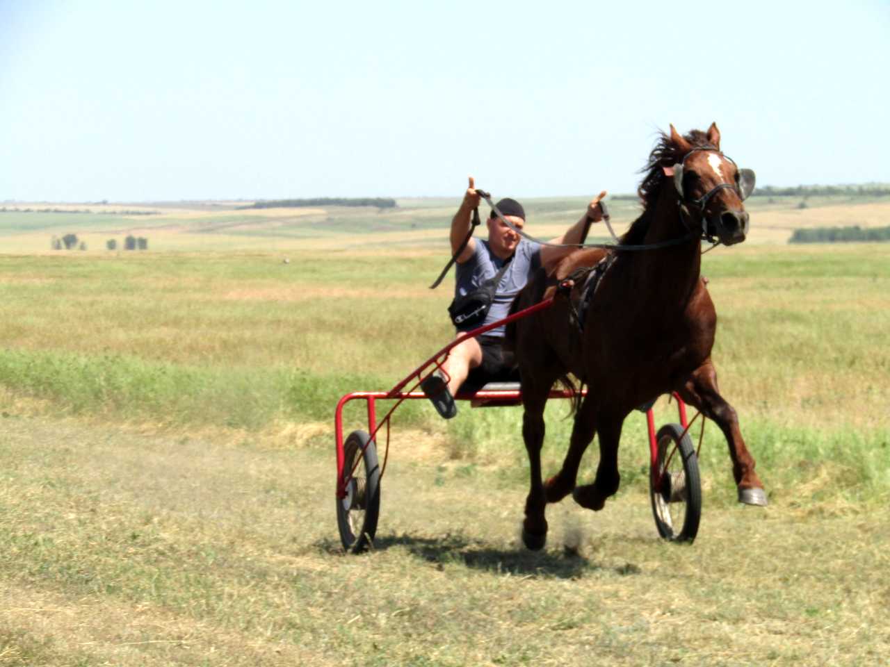 На Одещини відновили традицію кінних перегонів (ФОТО)