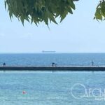 доступність чи боротьба за місце під сонцем?