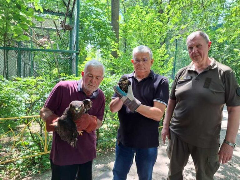 В Одесі з ресторану вилучили хижих птахів: їх доля в зоопарку