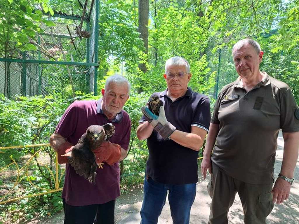 В Одесі з ресторану вилучили хижих птахів: їх доля в зоопарку