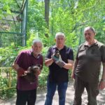 В Одесі рятують поранених під час обстрілу птахів