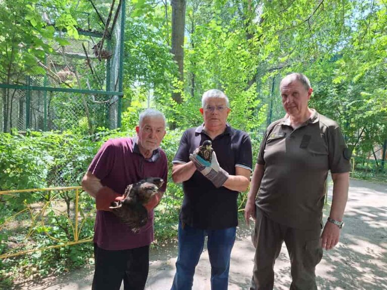 В Одесі рятують поранених під час обстрілу птахів