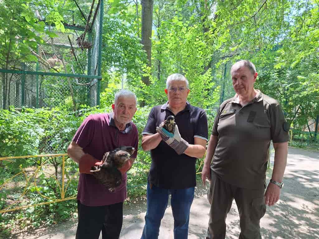 В Одесі рятують поранених під час обстрілу птахів