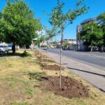 Гарний день для прогулянки: прогноз погоди в Одесі на суботу, 7 червня