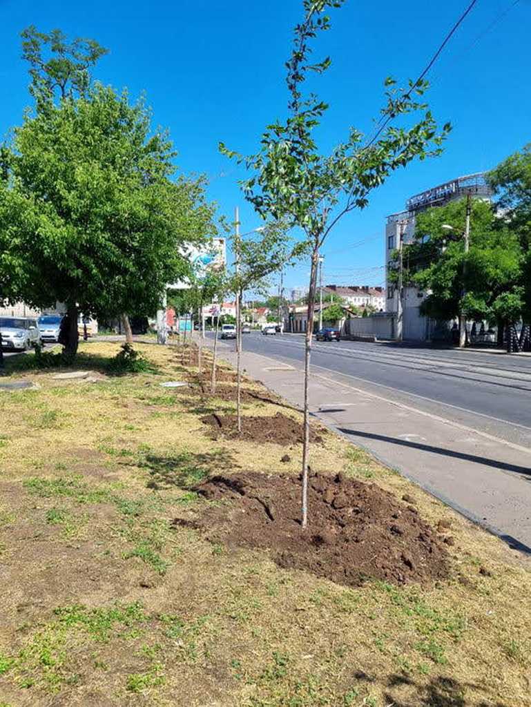 Гарний день для прогулянки: прогноз погоди в Одесі на суботу, 7 червня
