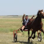 Кінні перегони у Бородінській громаді: традиція, що триває 35 років