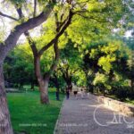 Погода в Одесі 26 червня: спека до +31°C та ніякого дощу