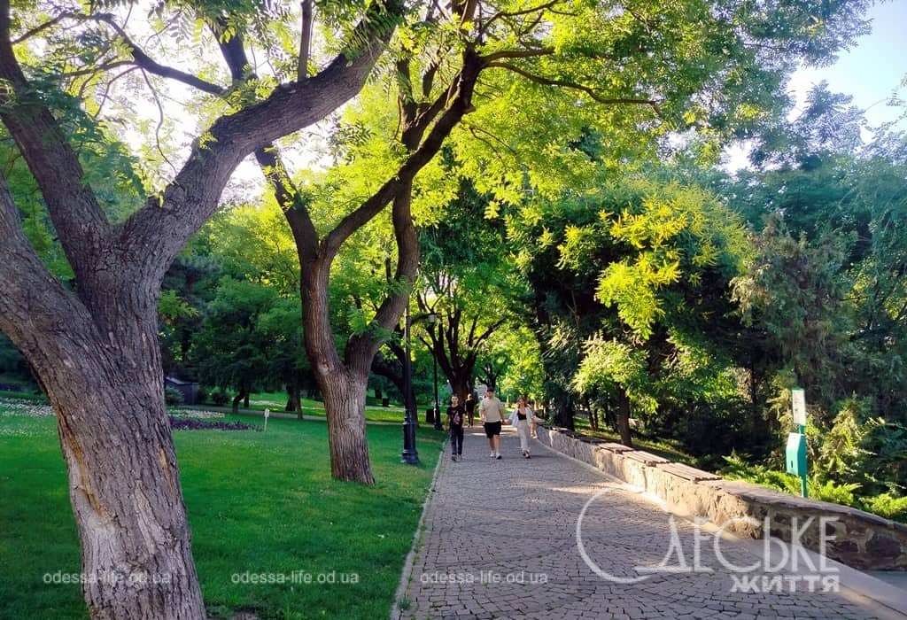 Погода в Одесі 26 червня: спека до +31°C та ніякого дощу