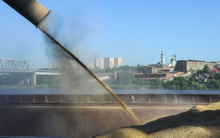 Росія запропонувала створити в рамках БРІКС зернову біржу – Китай та Індія проти