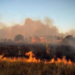 Пожежі у Миколаївській області 30 червня – пошкоджено будинки