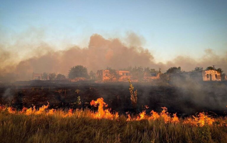 Пожежі у Миколаївській області 30 червня – пошкоджено будинки