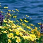 Погода в Одесі та області 28 липня: до +38°C, вітер та можливі грози