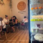 Пригощають поросята: у центрі Одеси відкрилося кафе з живими мініпігами