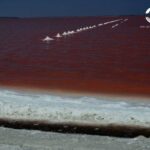 що викликає зміну кольору води