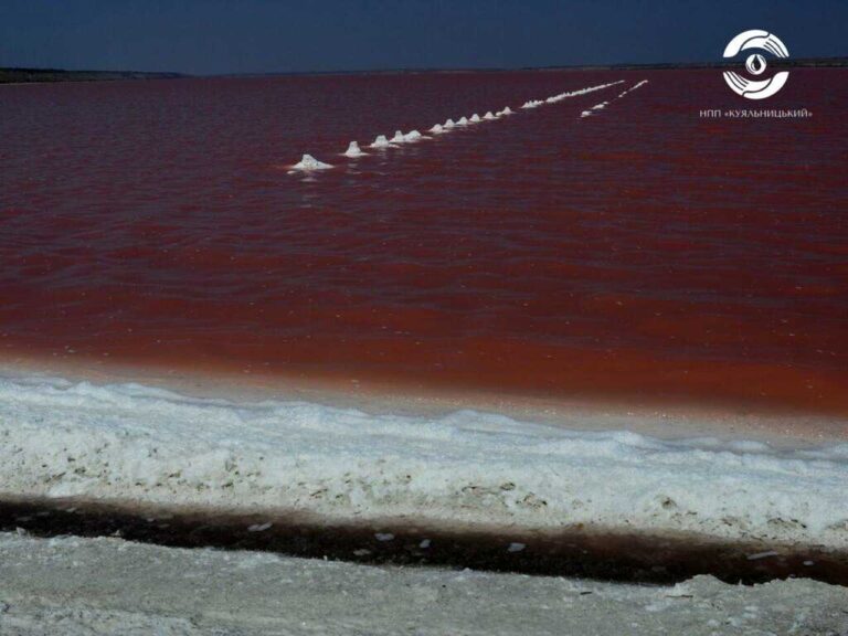 що викликає зміну кольору води