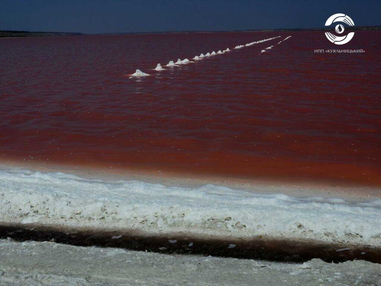 що викликає зміну кольору води