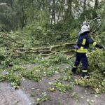 Негода в Україні 29 липня – у ДСНС показали наслідки грози та злив