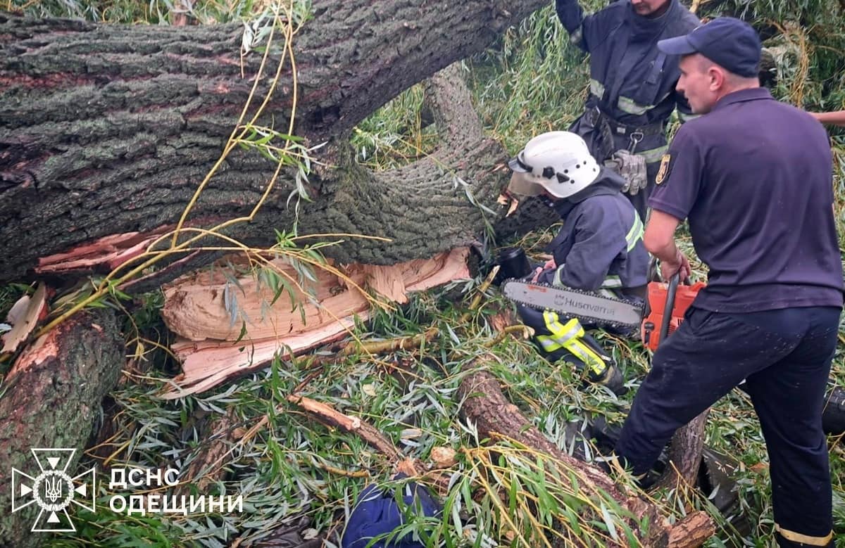 На Одещині дерево вбило підлітка