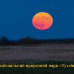 рідкісне явище зафіксували в Одеській області