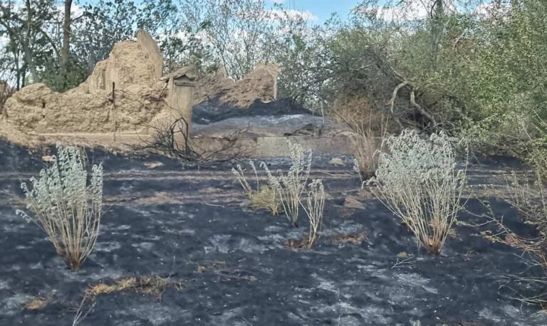 В Одеській області горіло ціле село