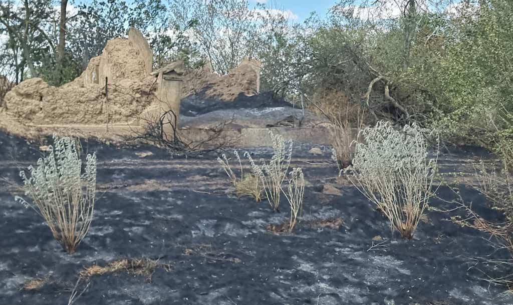 В Одеській області горіло ціле село