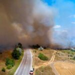 Пожежа біля Косівки охопила 10 гектарів на Одещині