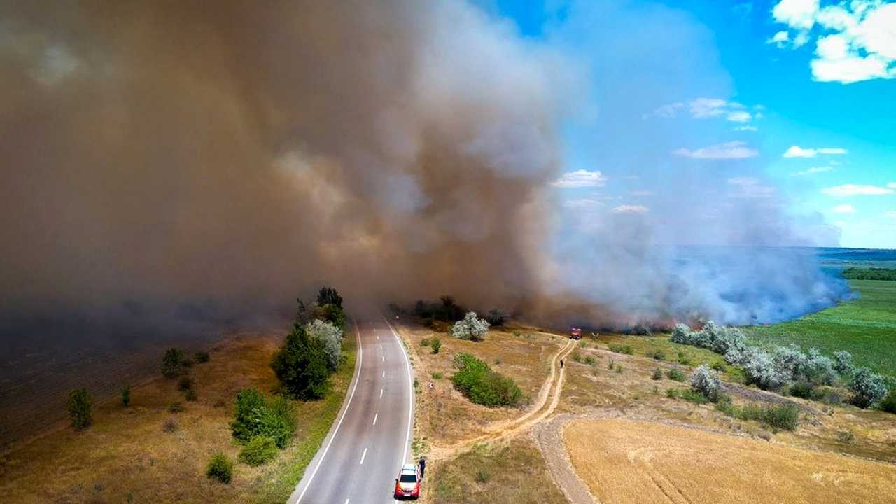 Пожежа біля Косівки охопила 10 гектарів на Одещині