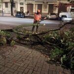 Одеса після зливи: десятки дерев повалено, дороги розчищають (фото)