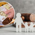 Грошова допомога на дитину від держави – як оформити, коли батьки не платять аліменти