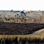 Засуха на Одещині спалила врожай: що робитимуть аграрії?