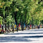 В Одесі на Алеї Героїв додано 82 імена загиблих воїнів: підсумки дня