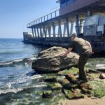 Узбережжя Одеси потопає у водоростях, а вода стала токсичною