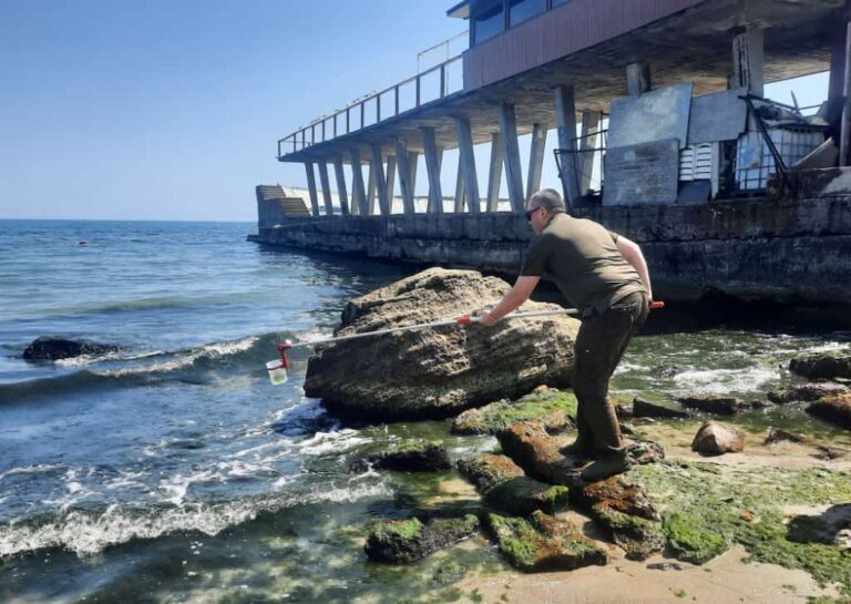 Узбережжя Одеси потопає у водоростях, а вода стала токсичною