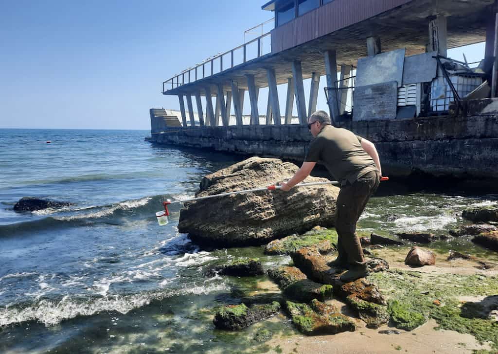 Узбережжя Одеси потопає у водоростях, а вода стала токсичною