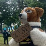 жарти та меми про рішення Ради щодо НАБУ