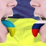 Мовні порушення в Одеській області 2025 року: де найбільше