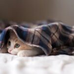 Серпневий рекорд холоду оновлено в Одеській області
