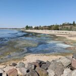 Чому почорніло море біля берегів Одеси – пояснення екологів