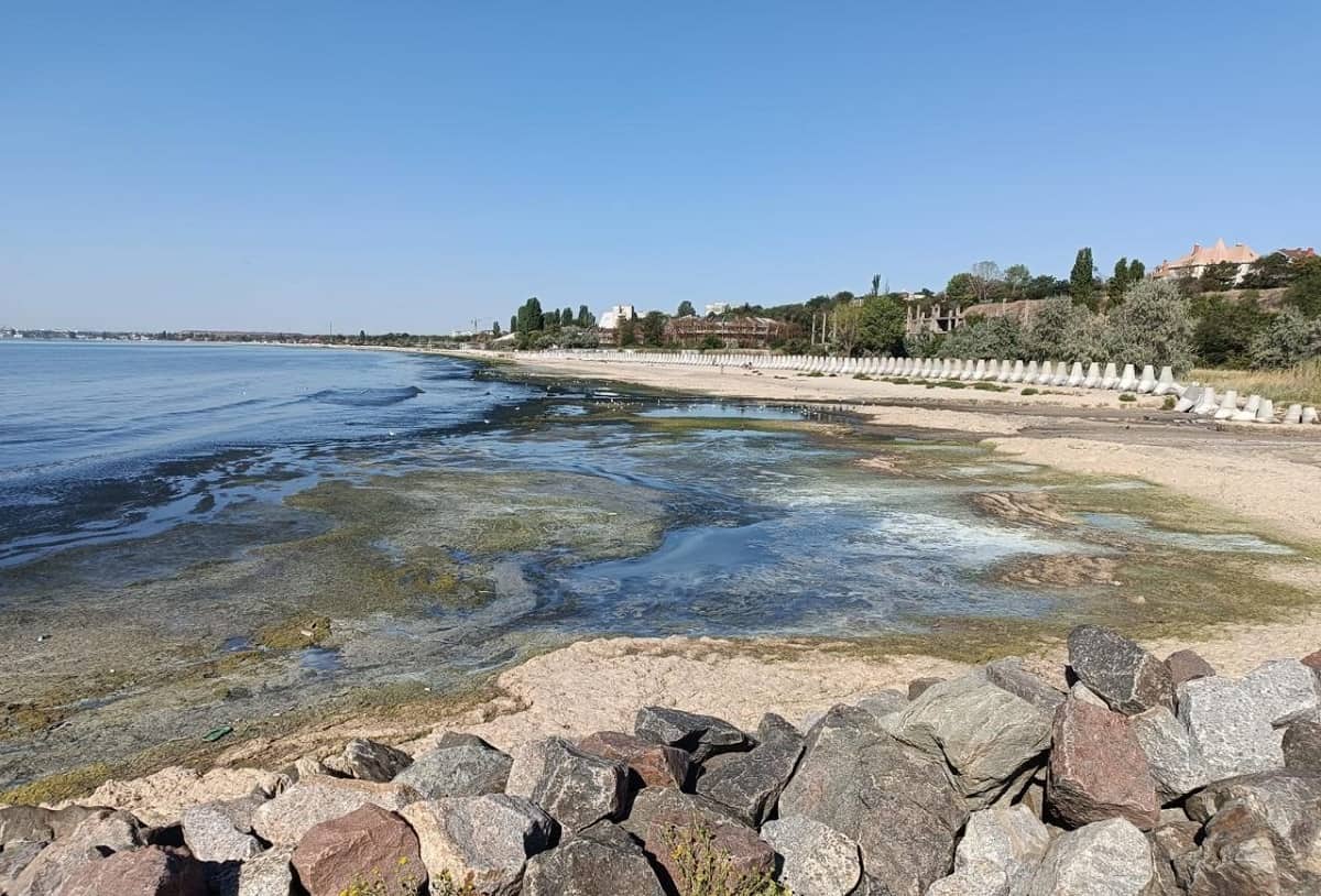 Чому почорніло море біля берегів Одеси – пояснення екологів